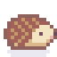 Hedgehog